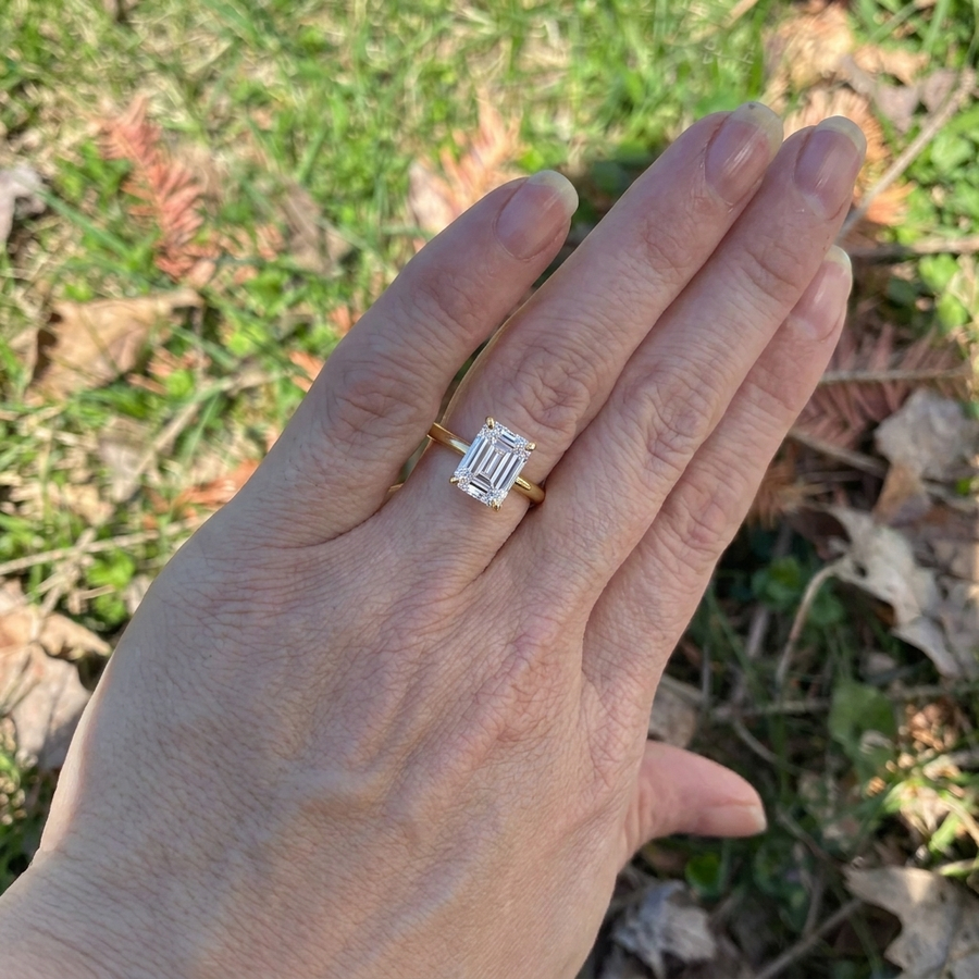 The Monaco customer photo